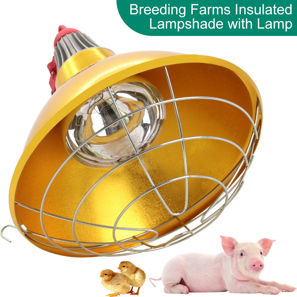 Farming Equipment For Agriculture - Bétail cochon cassé plus chaud lampe