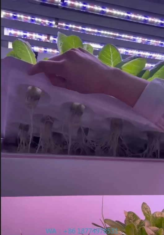 Farming Equipment For Agriculture - F serre équipement agricole grandir champignons