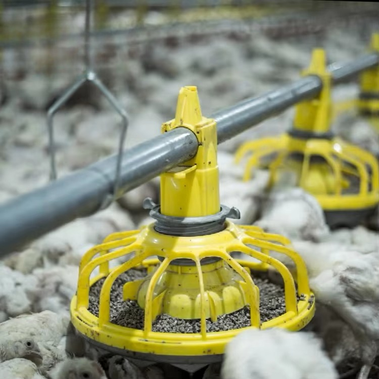 Équipement agricole de poulet  - Farming Equipment For Agriculture avis et prix