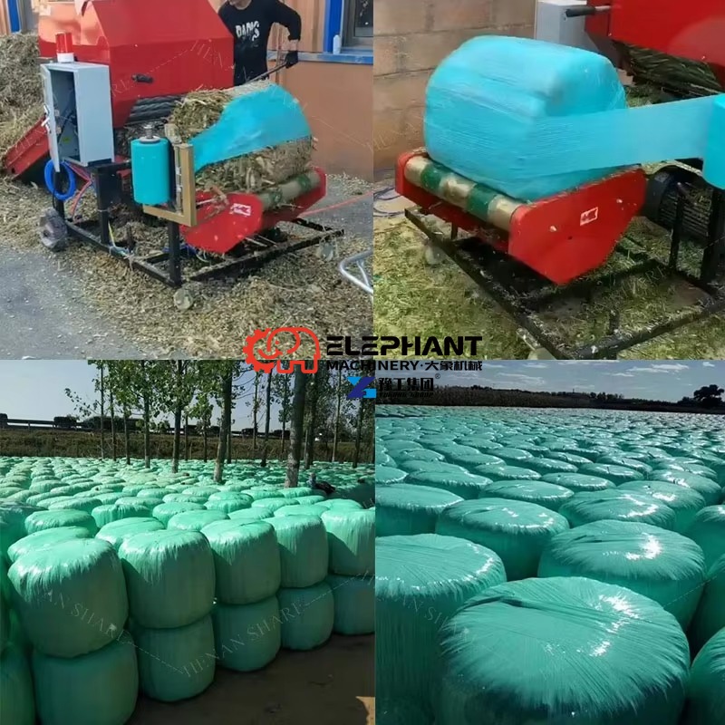 Machine automatique de conditi - Agriculture Farming Process avis et prix