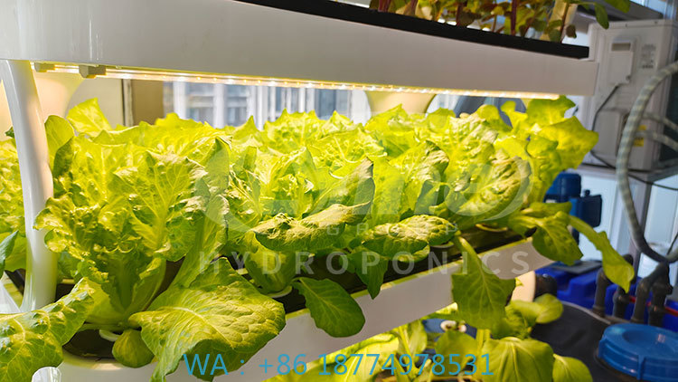 c Machine agricole pour cultiv - Farming Equipment For Agriculture avis et prix