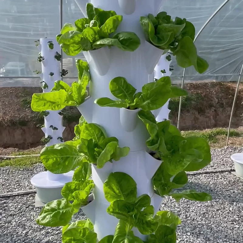 Avec Led élèvent la lumière es - Farming Equipment For Agriculture avis et prix