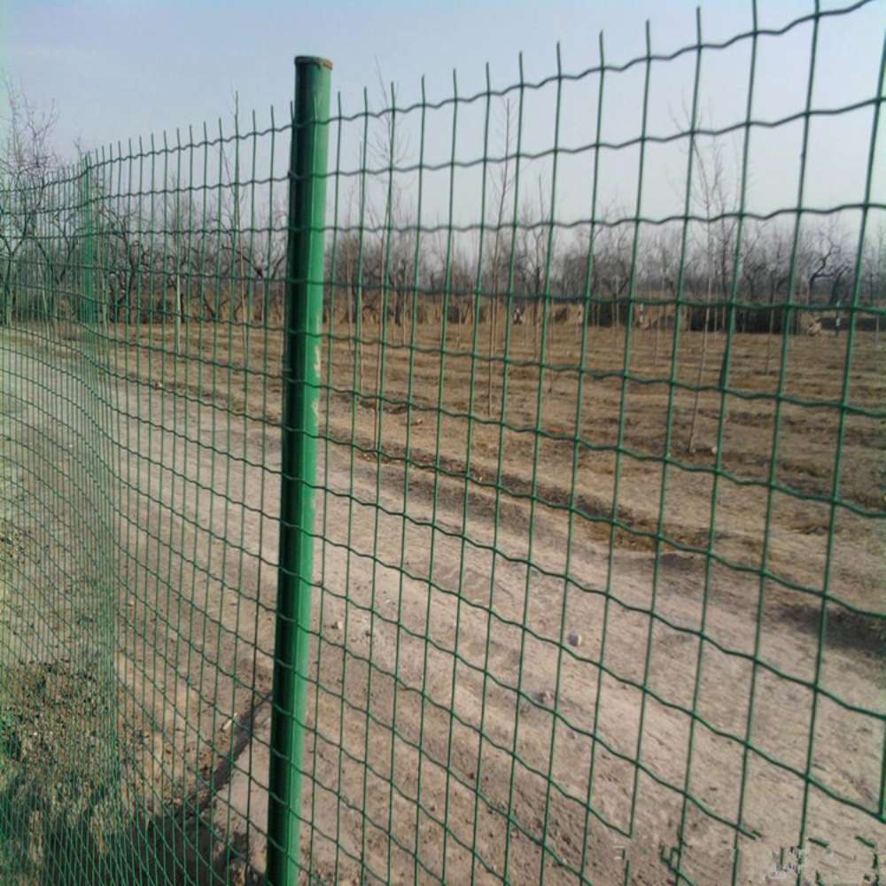 Rouleau de fil de clôture de s - Rabbit Cage Wire avis et prix
